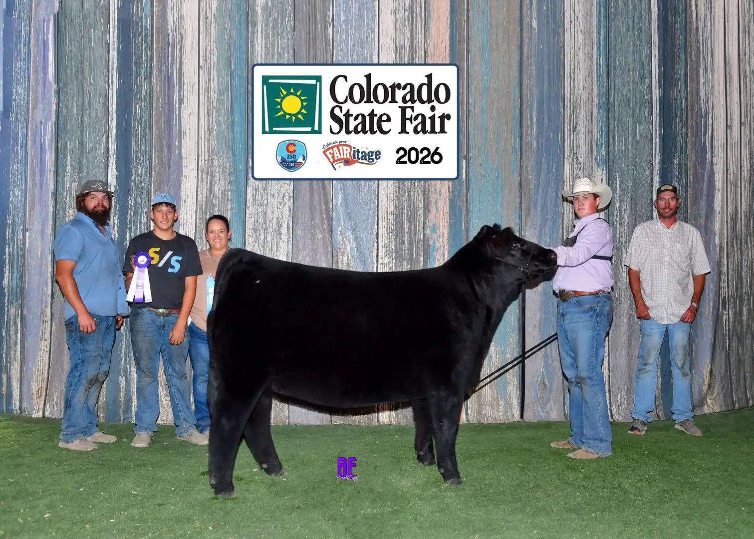 Lear Hansen with his percentage Simmental champion female at the 2026 Colorado State Fair